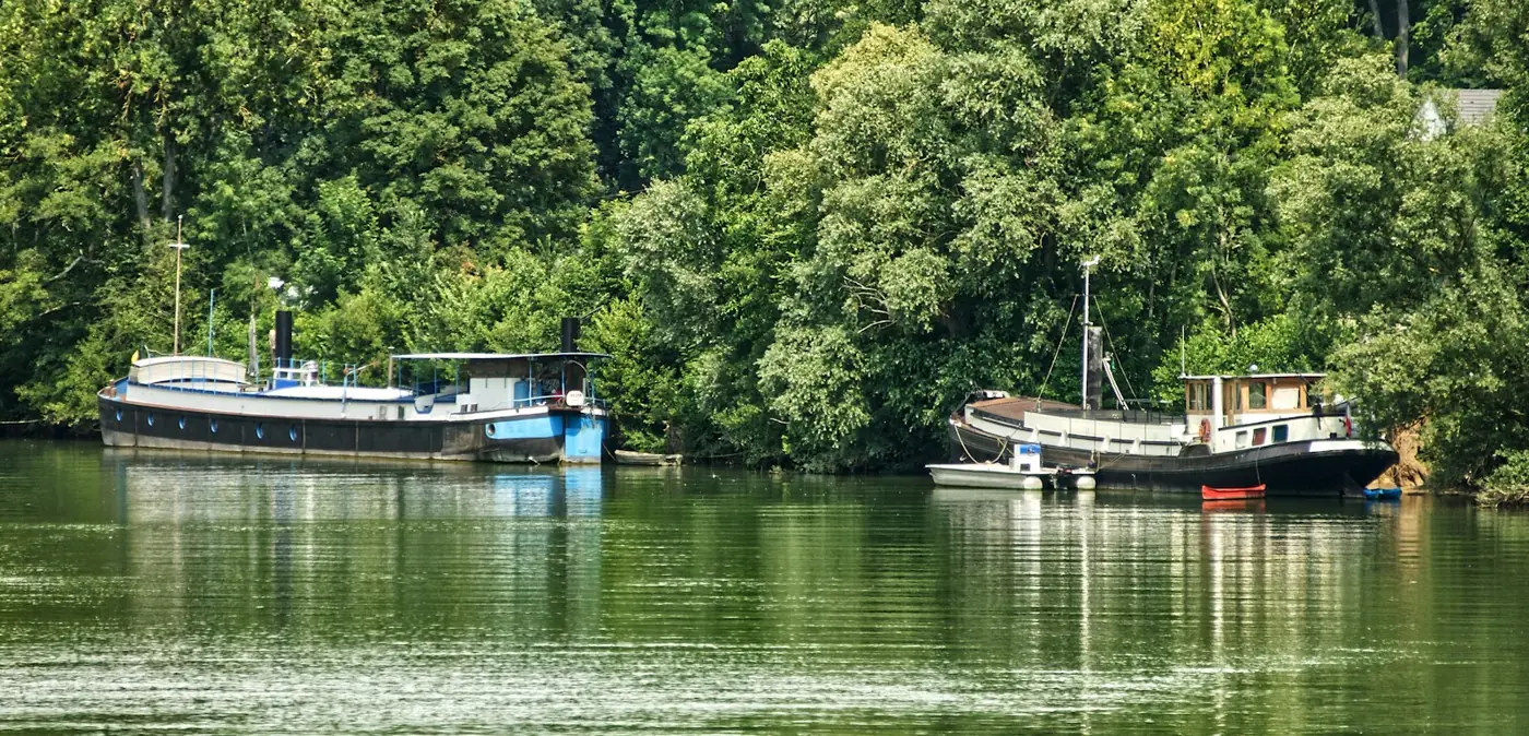 Rats à Créteil : pourquoi les bords de Marne et le lac attirent les rongeurs