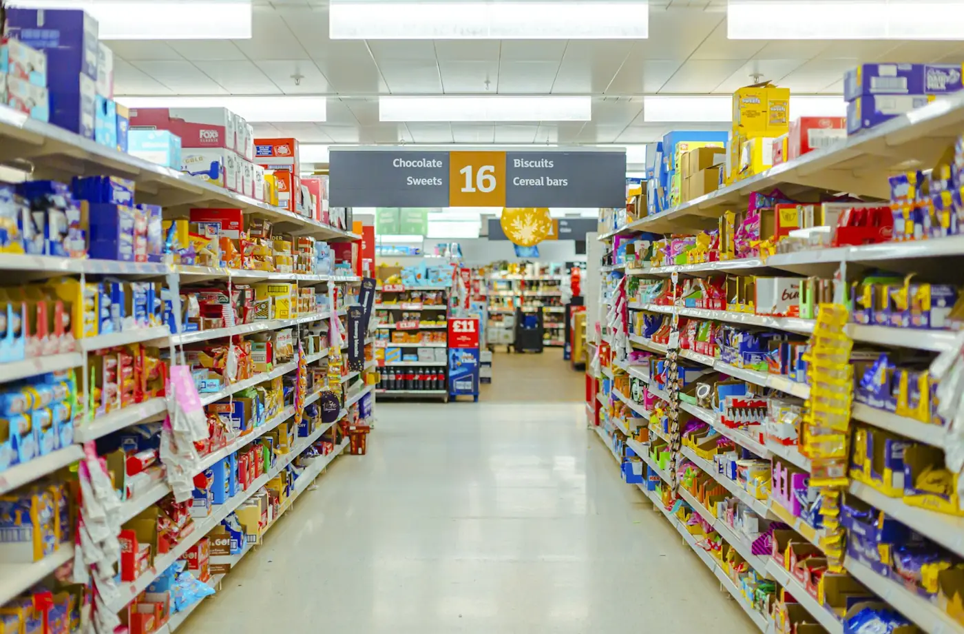 Produits anti-nuisibles du commerce : pourquoi ils échouent souvent