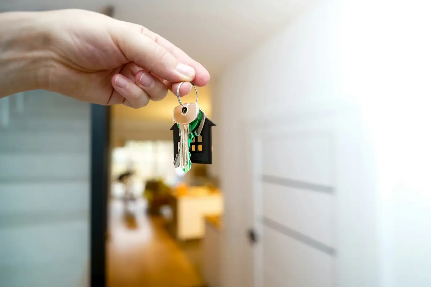 Locataire face aux nuisibles : quels sont vos droits ?