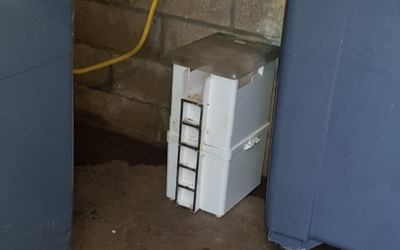 Intervention dératisation en cours à Créteil